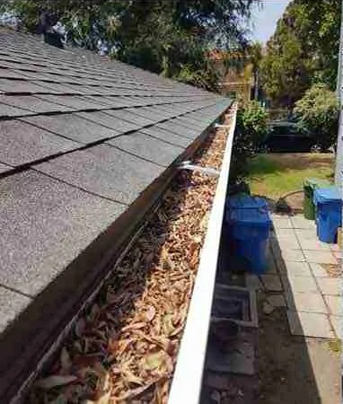 Gutter Cleaning & Repair